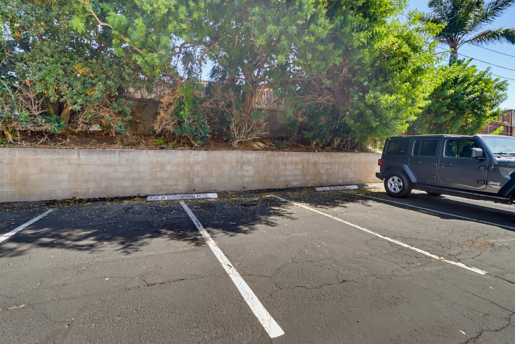 Virtual tour photo 39 of 39 for 4275 Asher St