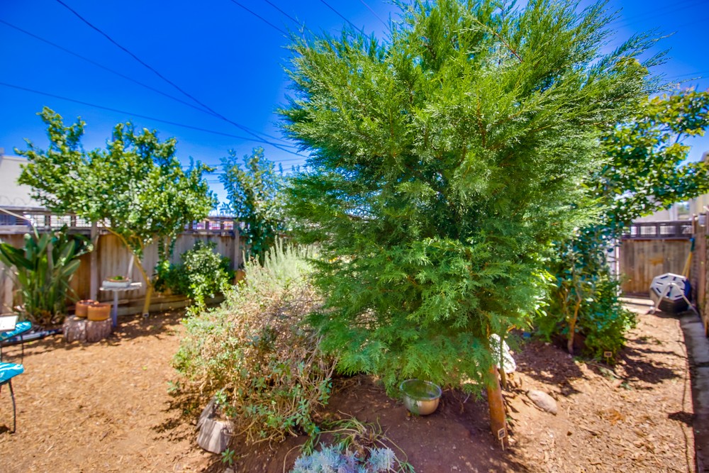 Virtual tour photo 33 of 36 for 4341 48th St