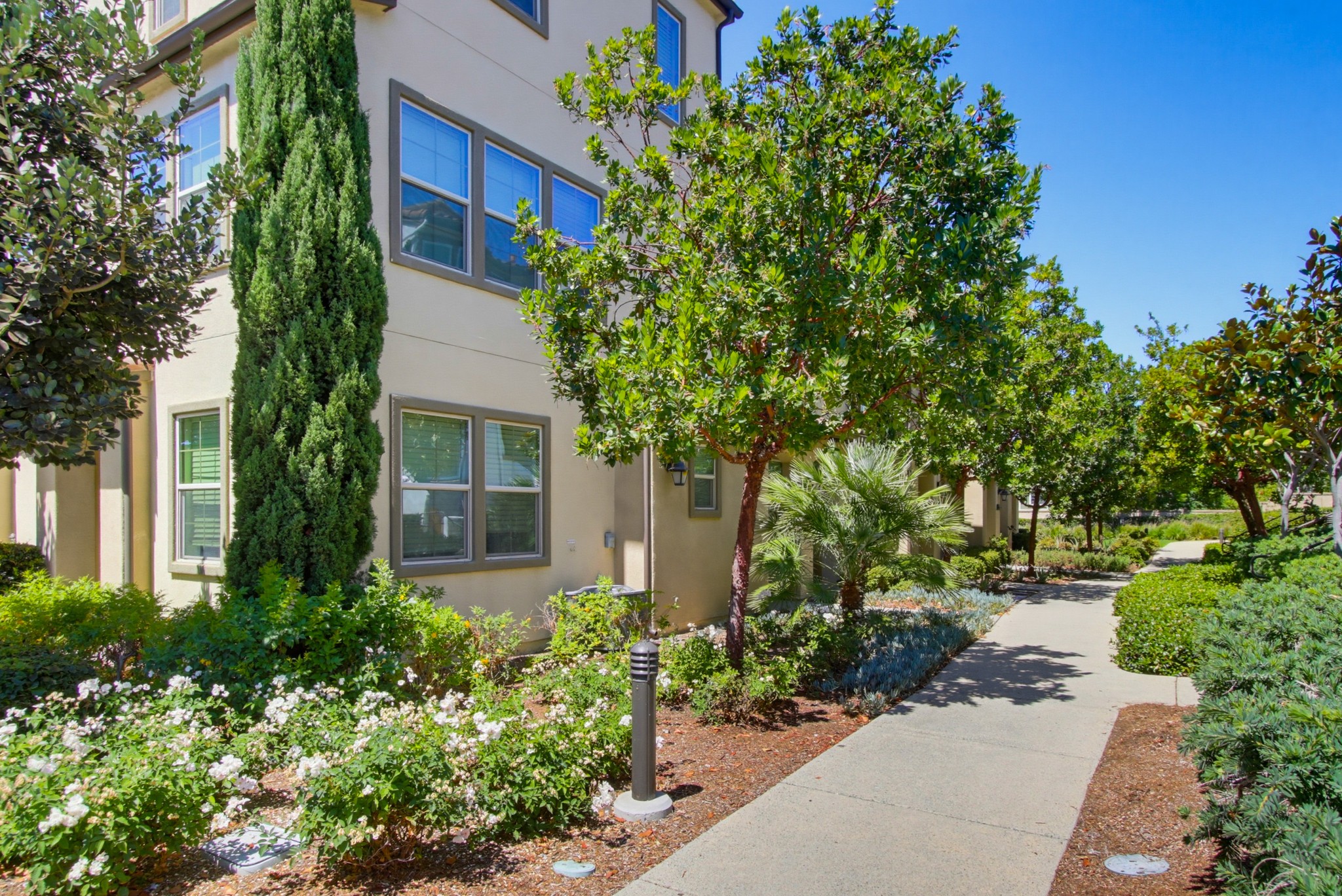 Virtual tour photo 41 of 45 for 4366 Pacifica Wy