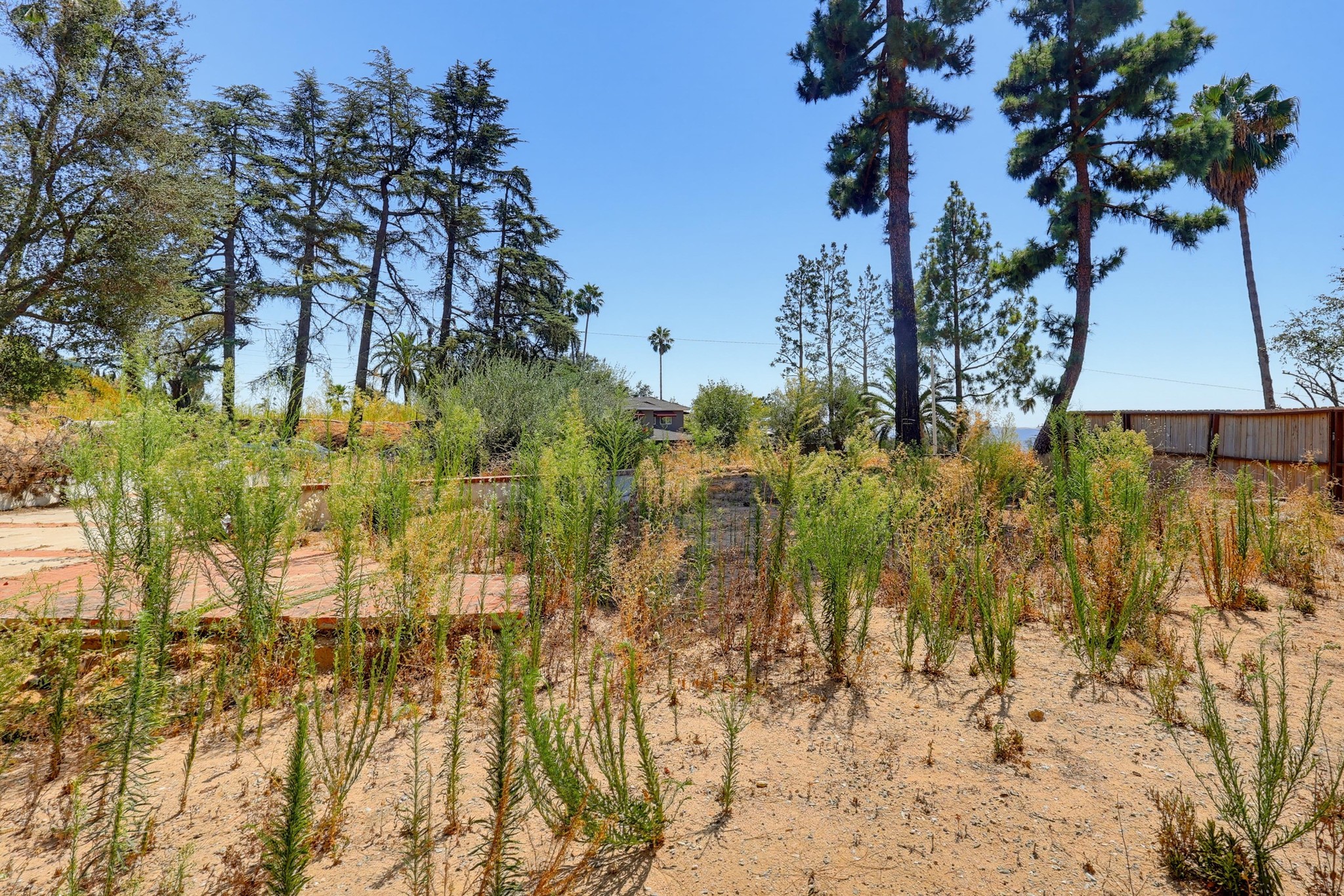 Virtual tour photo 20 of 38 for 437 Devonwood Rd