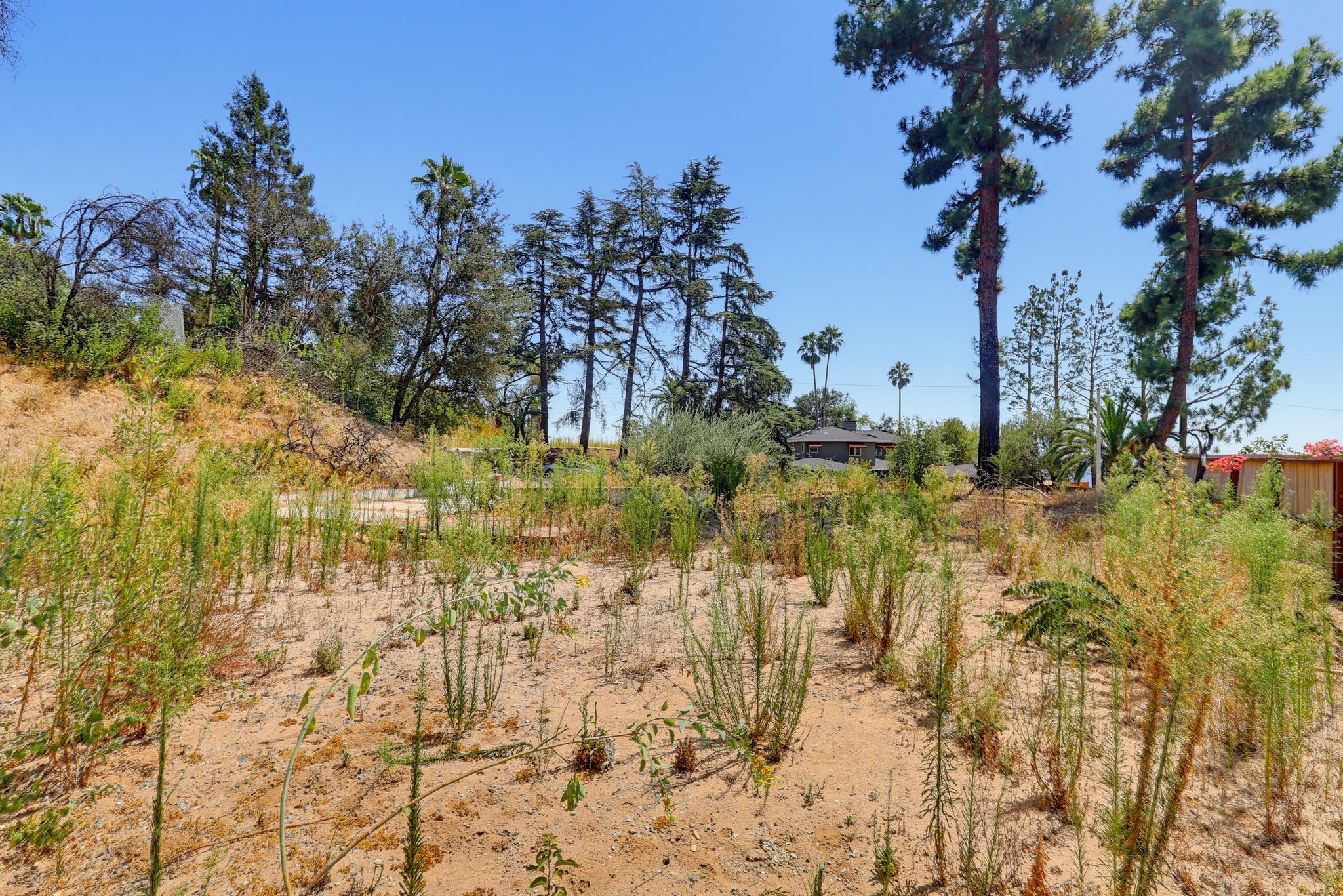 Virtual tour photo 24 of 38 for 437 Devonwood Rd