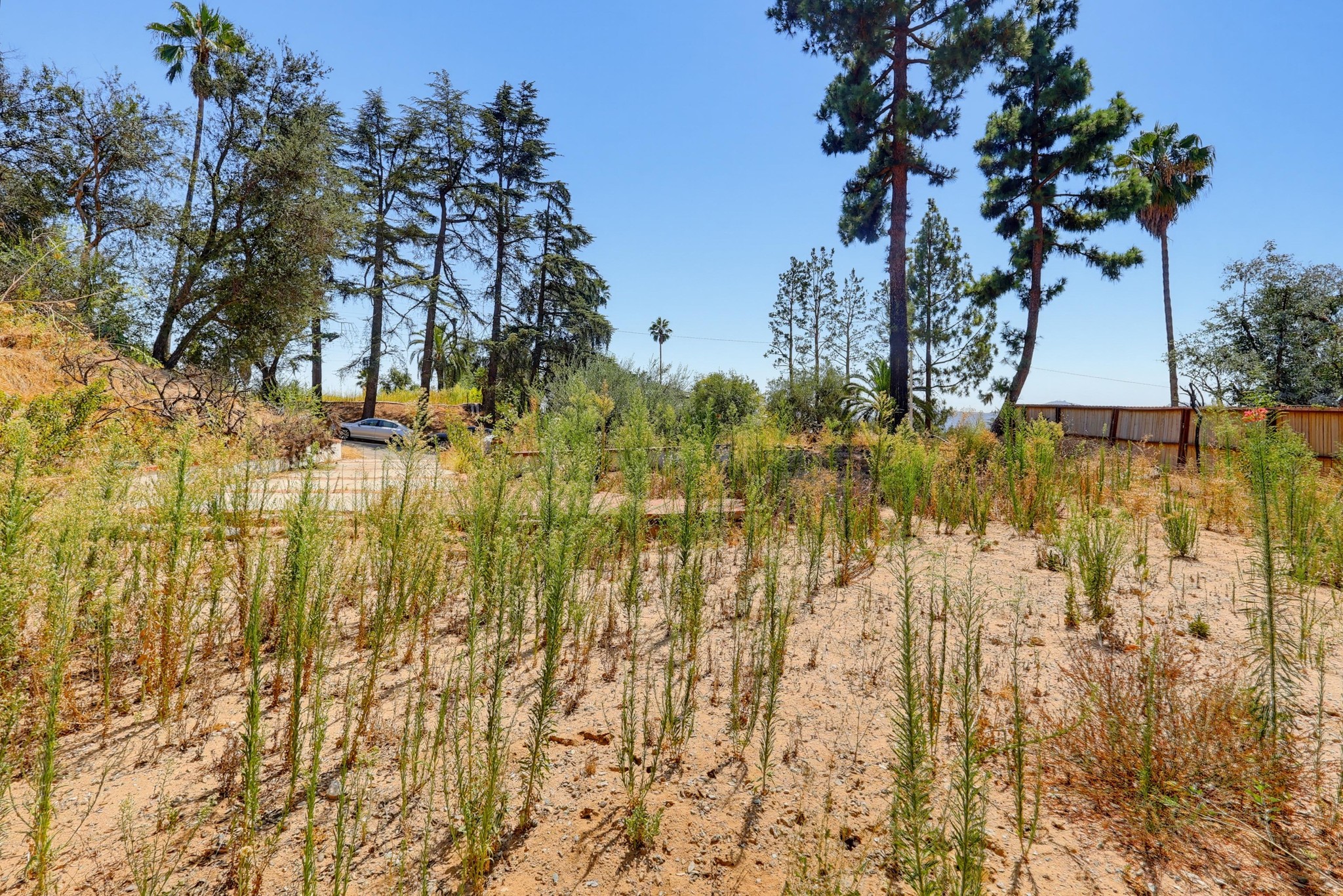 Virtual tour photo 25 of 38 for 437 Devonwood Rd