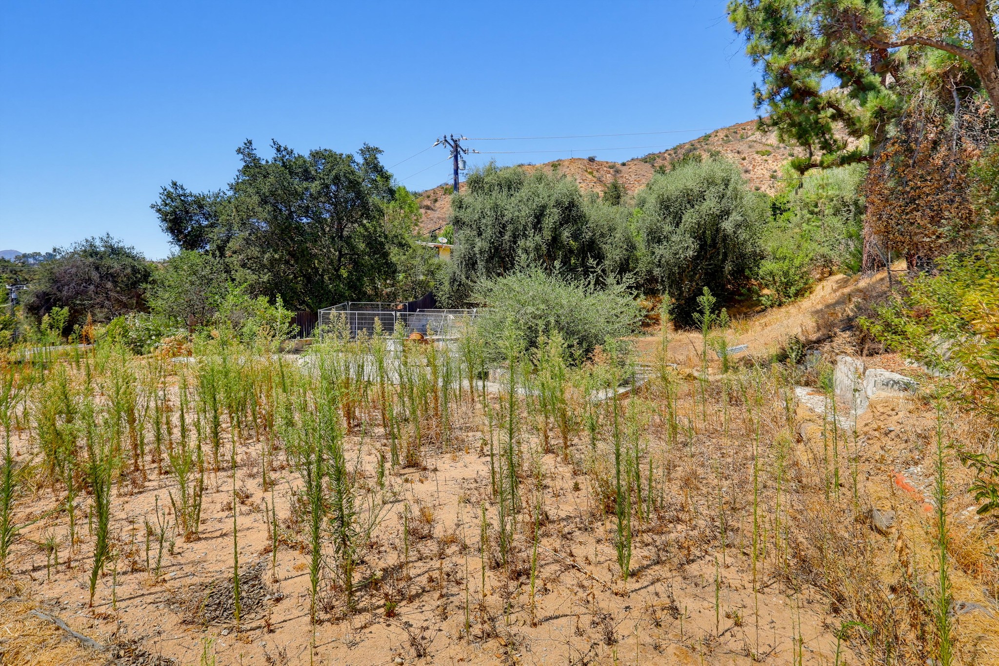 Virtual tour photo 36 of 38 for 437 Devonwood Rd