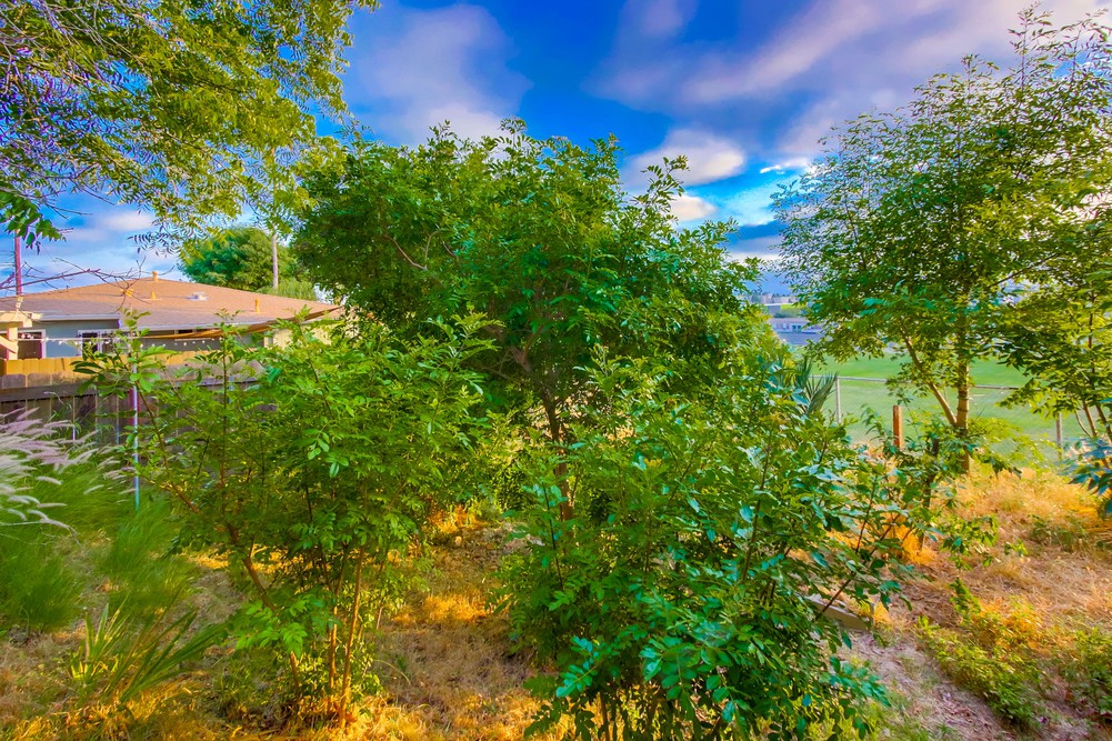 Virtual tour photo 43 of 45 for 4386 56th St