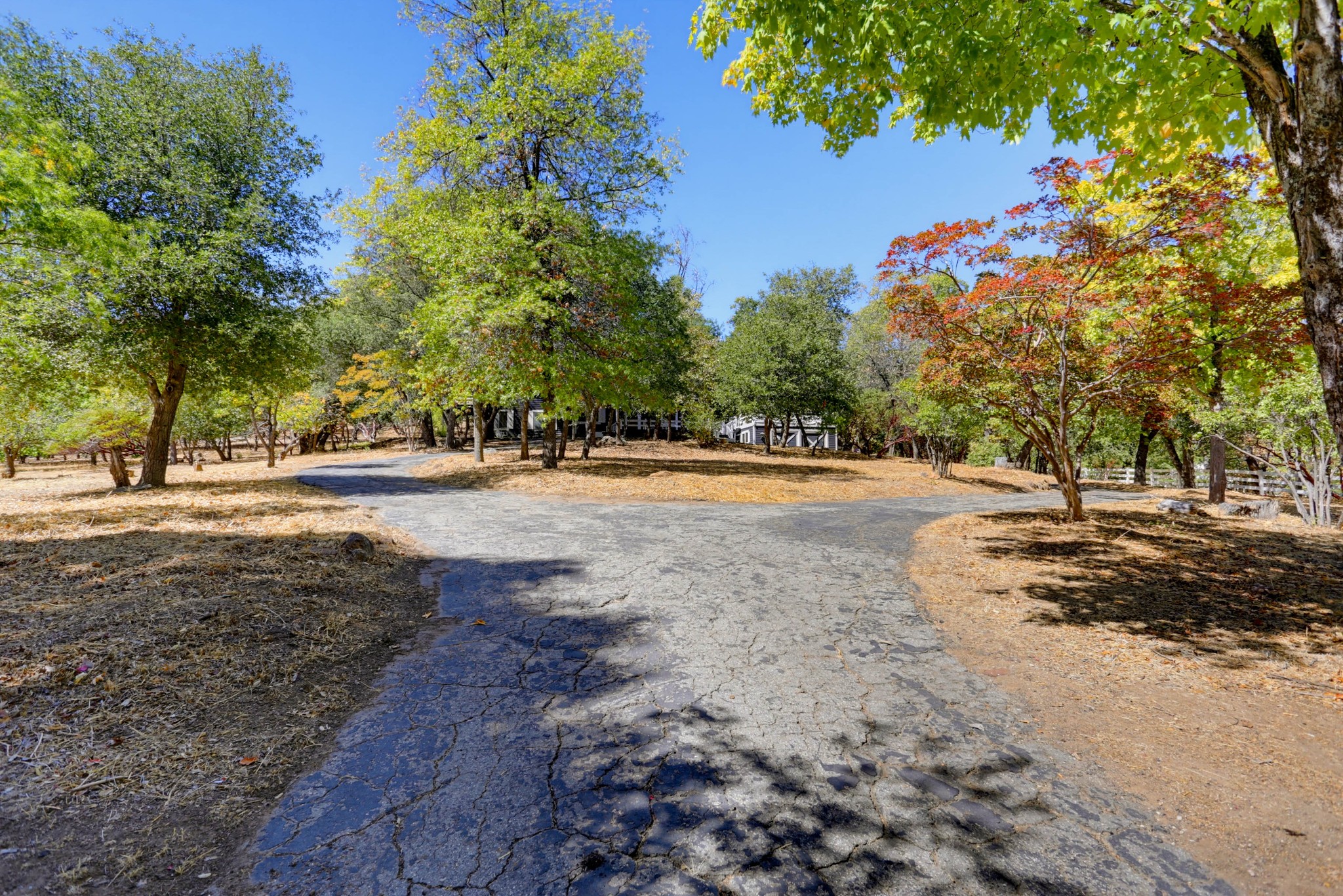 Virtual tour photo 3 of 48 for 4402 Pine Hills Rd