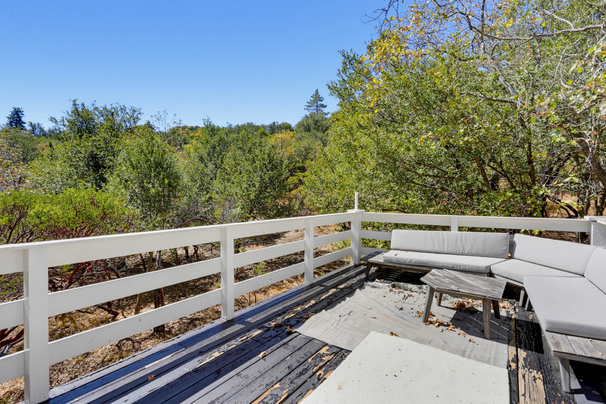 Virtual tour photo 39 of 48 for 4402 Pine Hills Rd