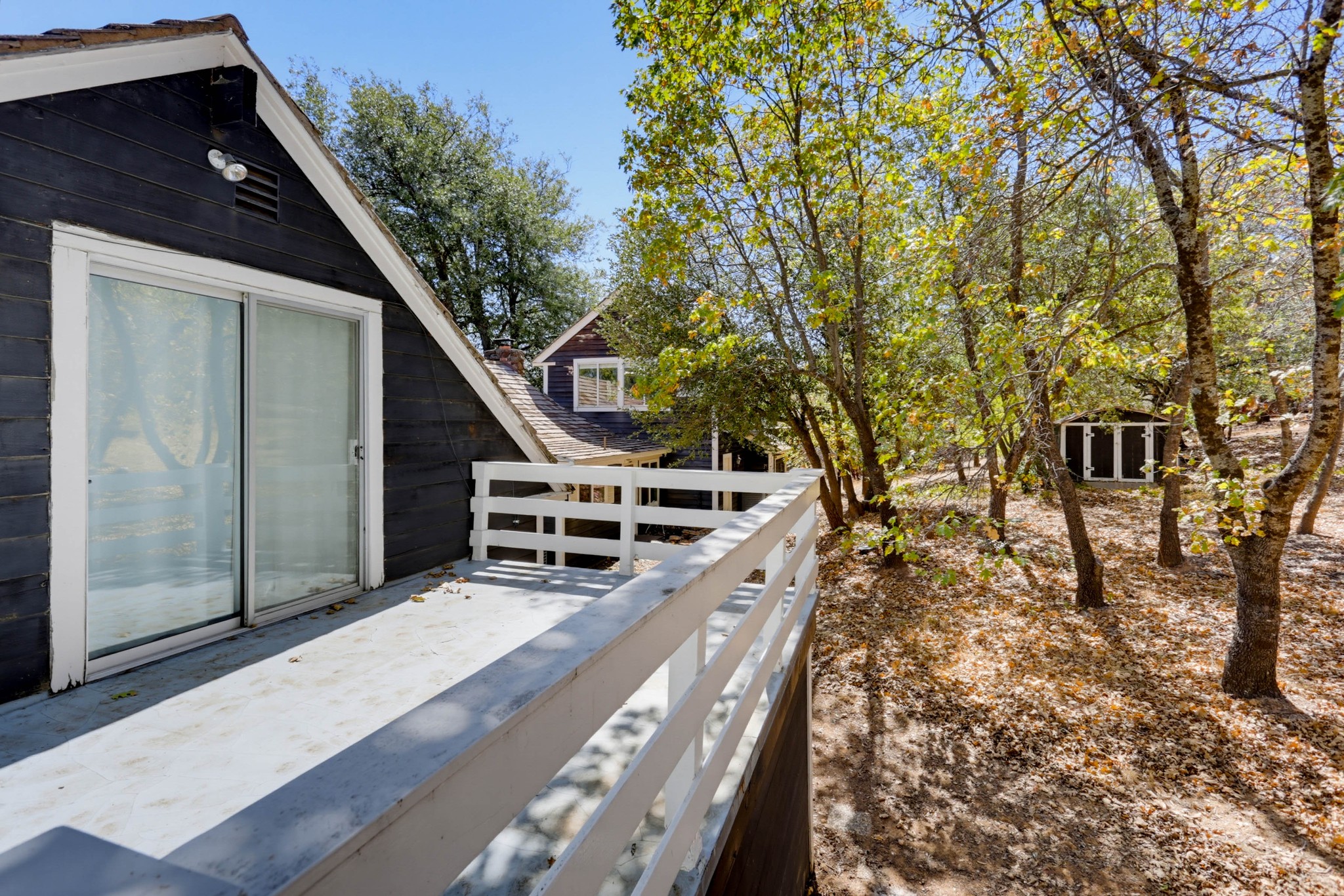 Virtual tour photo 43 of 48 for 4402 Pine Hills Rd