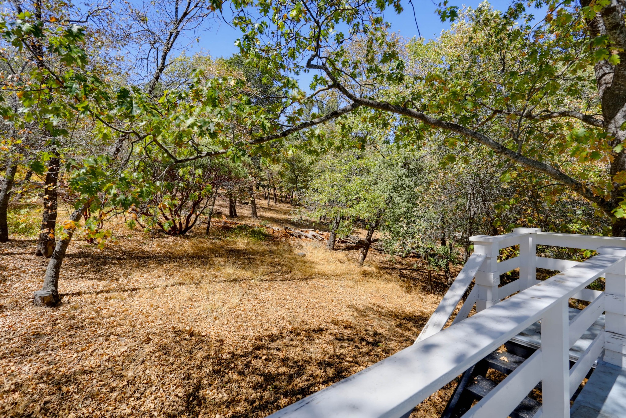 Virtual tour photo 45 of 48 for 4402 Pine Hills Rd
