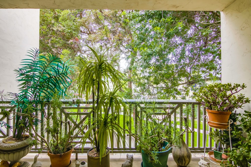 Virtual tour photo 35 of 37 for 4444 W Point Loma Blvd