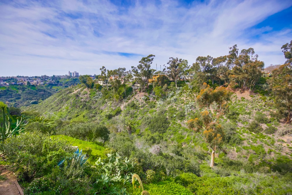 Virtual tour photo 41 of 45 for 4462 Arch St