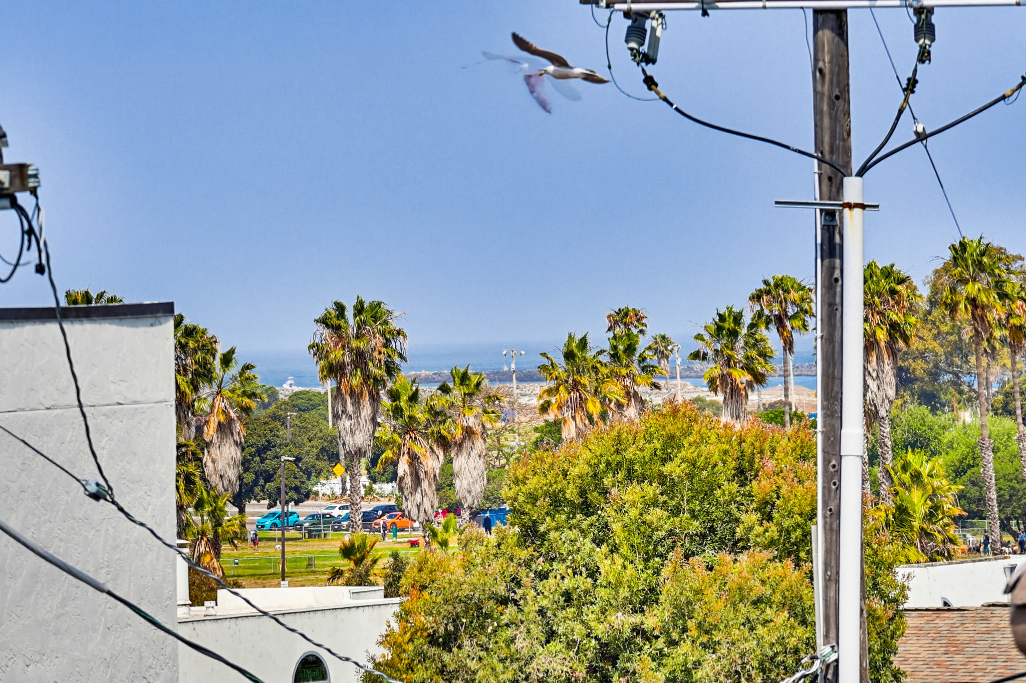 Virtual tour photo 47 of 54 for 4477 Mentone St UNIT 105