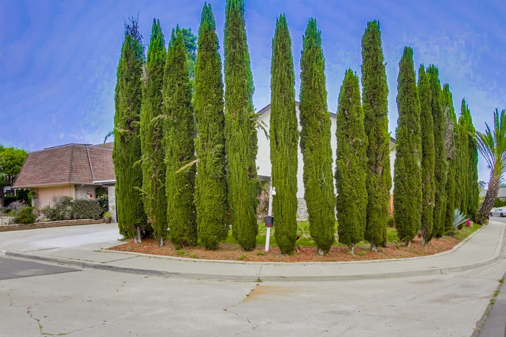 Virtual tour photo 47 of 46 for 4494 Benhurst Ave