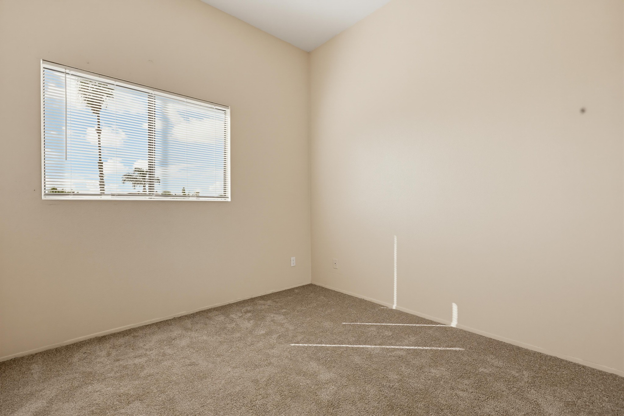 Virtual tour photo 45 of 49 for 4514 51st St #03