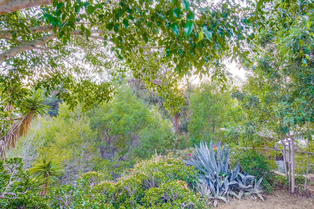 Virtual tour photo 72 of 79 for 4534 Jicarillo Ave