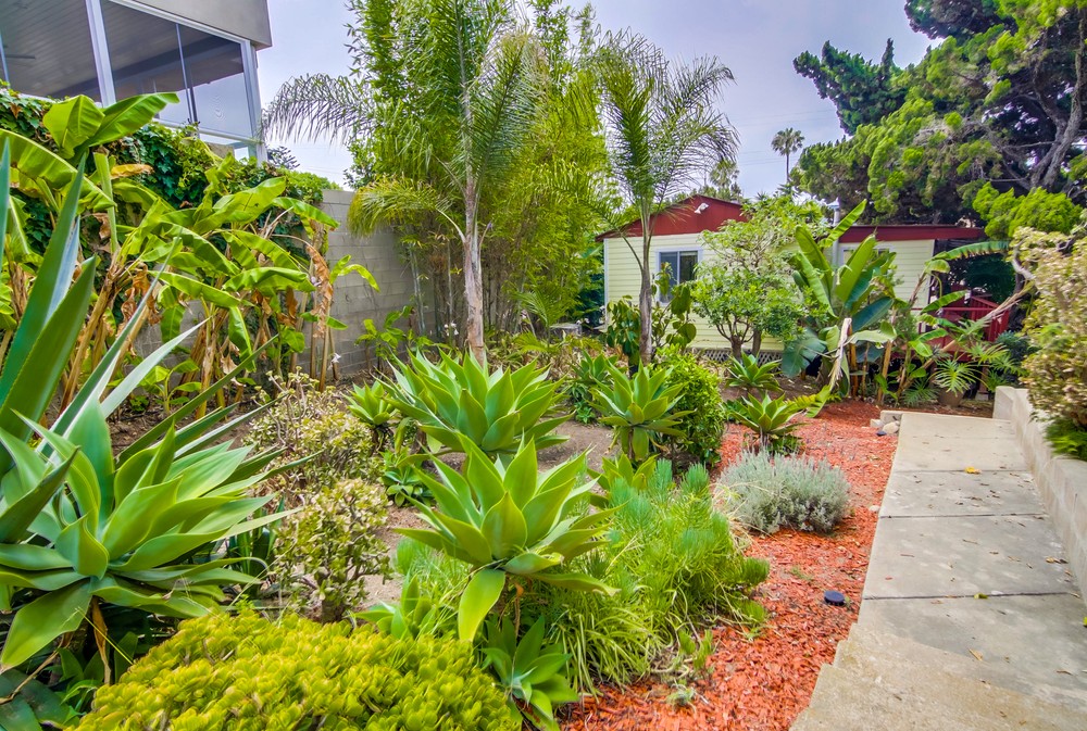 Virtual tour photo 50 of 58 for 4541 Orchard Ave