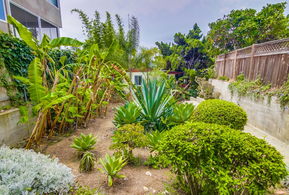 Virtual tour photo 51 of 58 for 4541 Orchard Ave