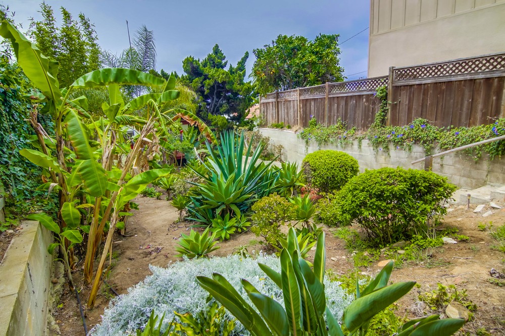 Virtual tour photo 52 of 58 for 4541 Orchard Ave