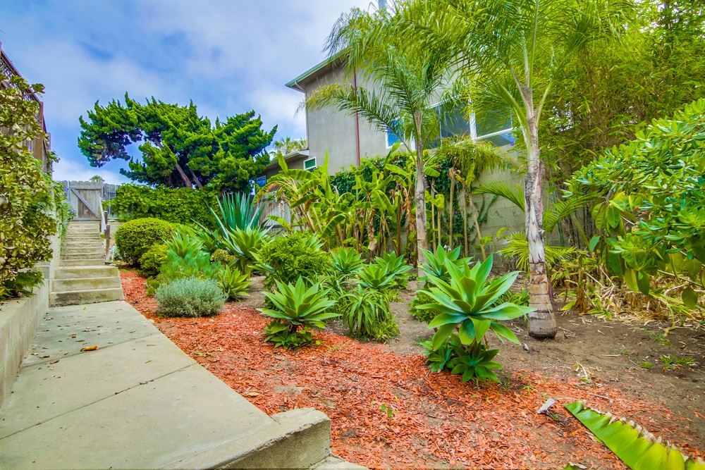 Virtual tour photo 53 of 58 for 4541 Orchard Ave