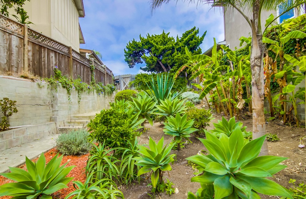 Virtual tour photo 54 of 58 for 4541 Orchard Ave