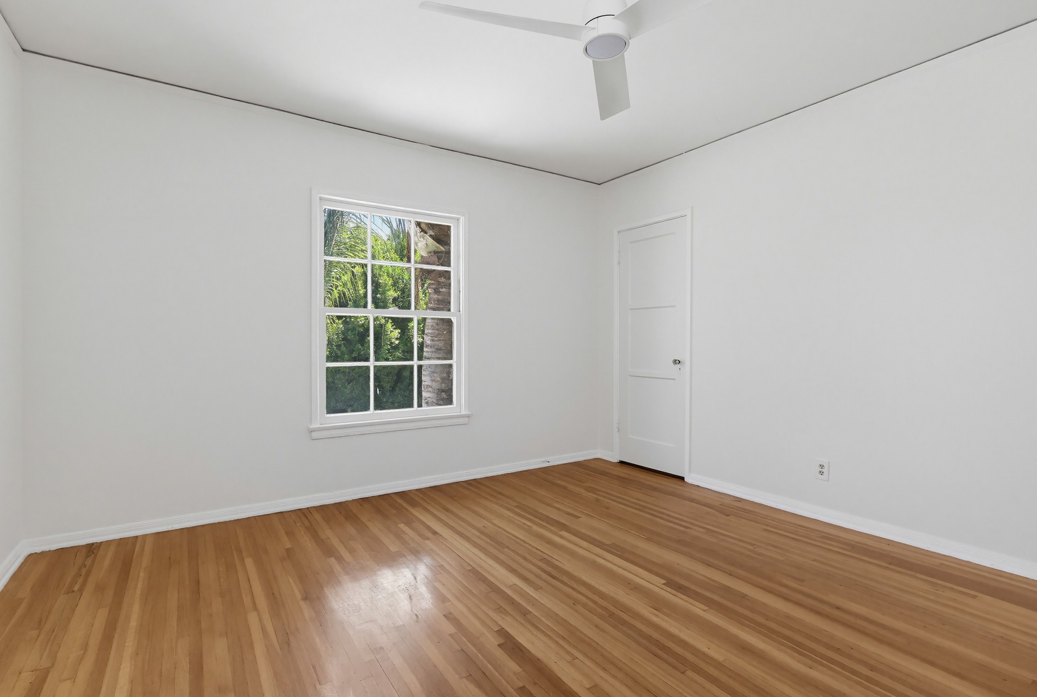 Virtual tour photo 39 of 56 for 455 Hayworth Ave