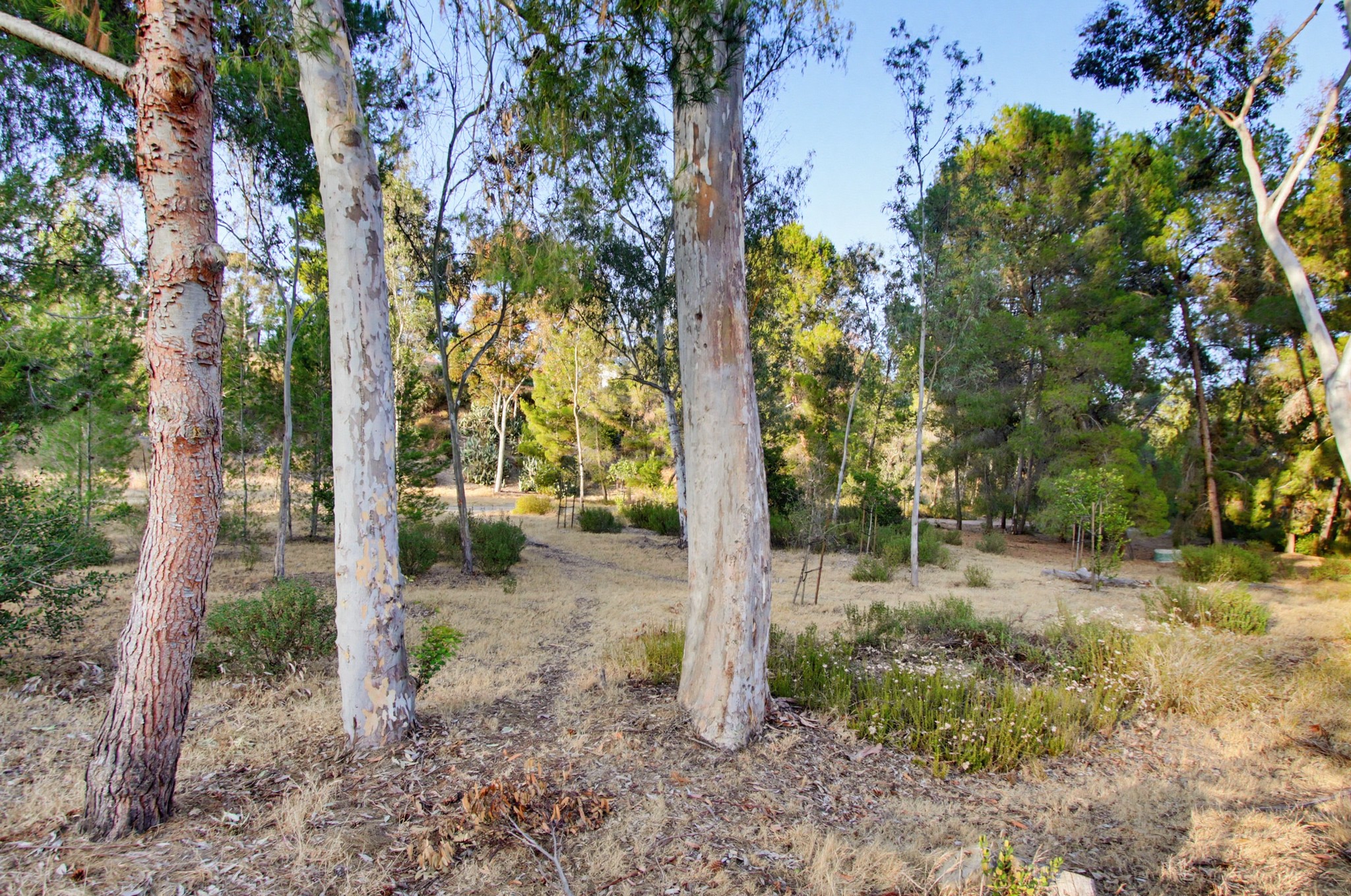 Virtual tour photo 81 of 116 for 4554 Calle De Vida