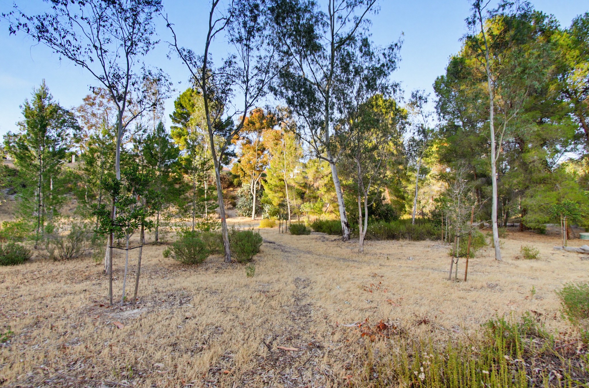 Virtual tour photo 82 of 116 for 4554 Calle De Vida