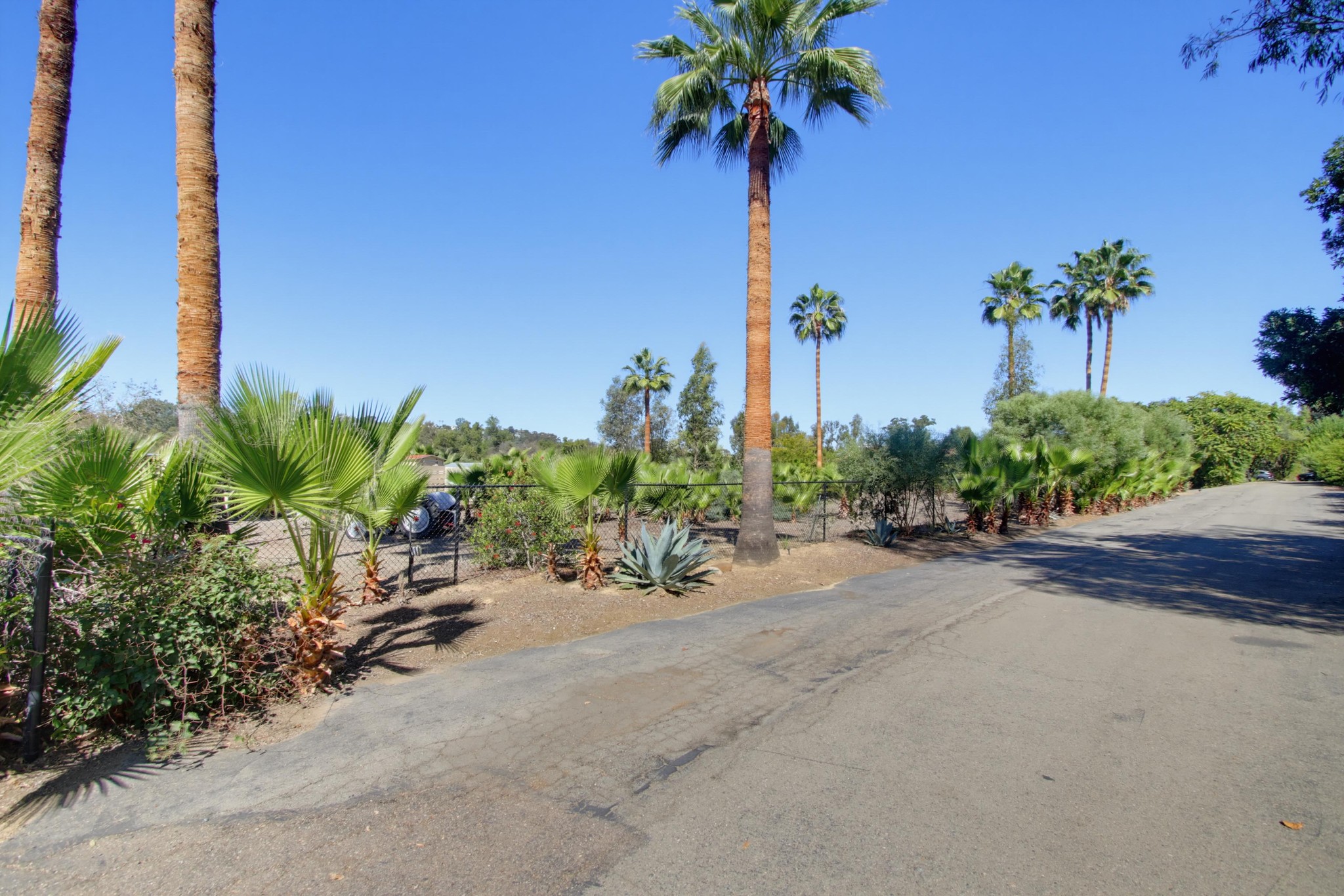 Virtual tour photo 151 of 195 for 4580 El Mirlo