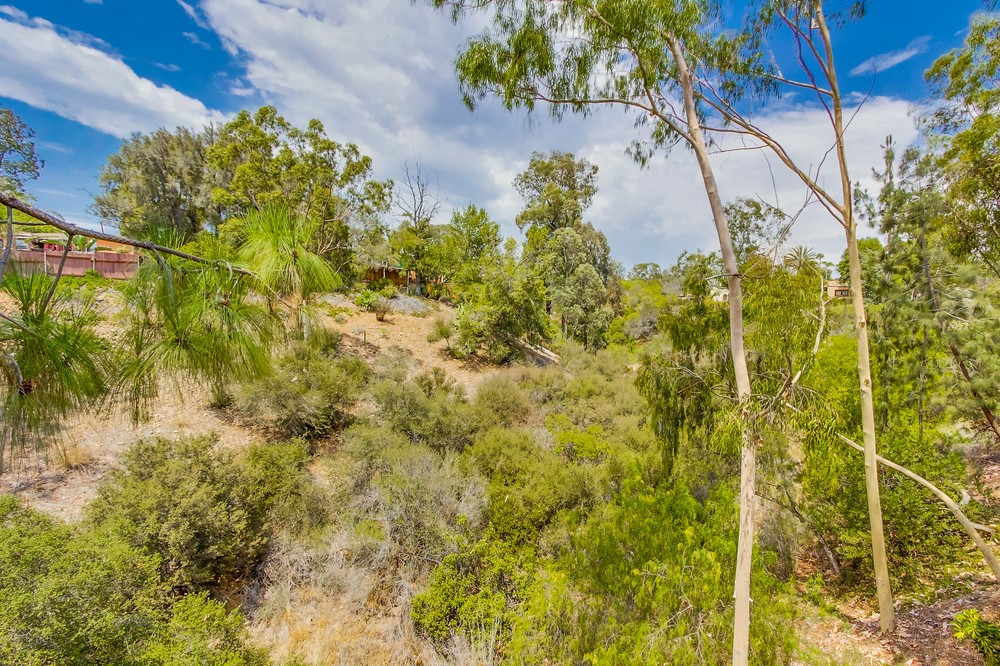 Virtual tour photo 18 of 45 for 4585 54th Street