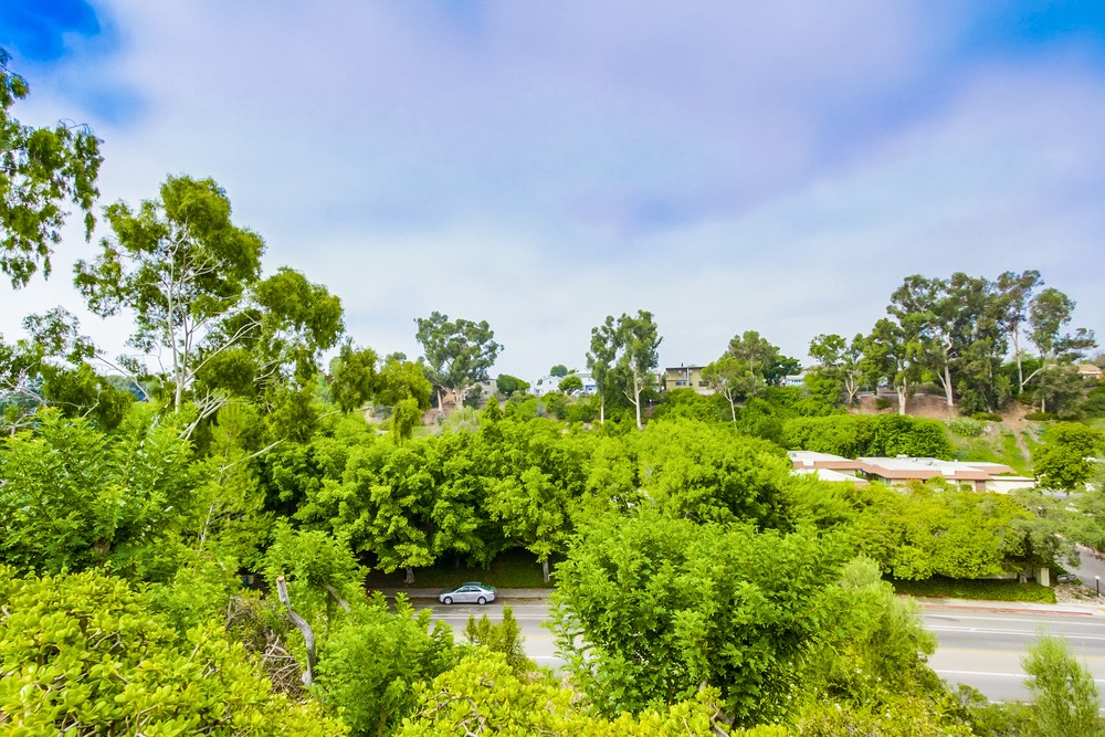 Virtual tour photo 43 of 42 for 4710 Adelphi Pl