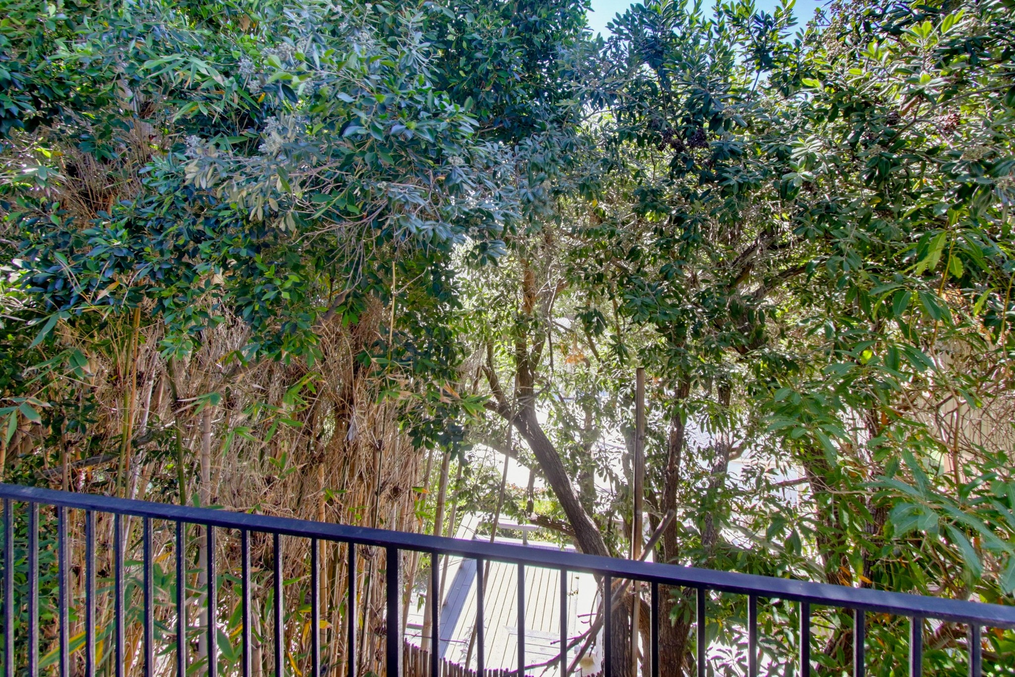 Virtual tour photo 35 of 81 for 4750 Noyes St Apt 218