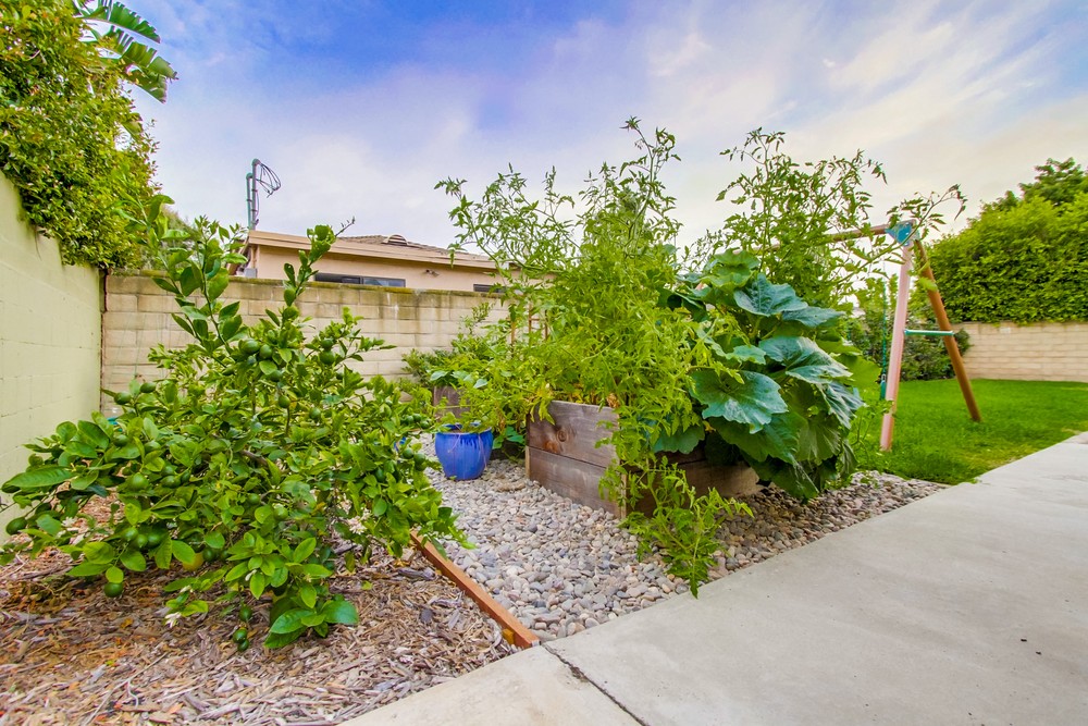Virtual tour photo 47 of 46 for 4751 Jean Dr