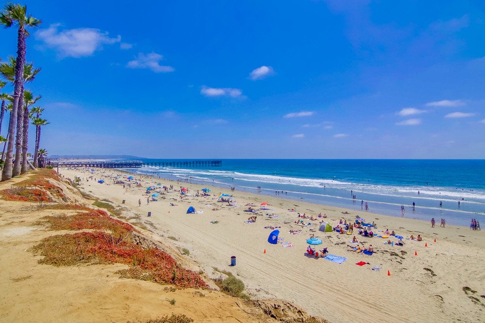 Virtual tour photo 40 of 40 for 4767 Ocean Blvd #201