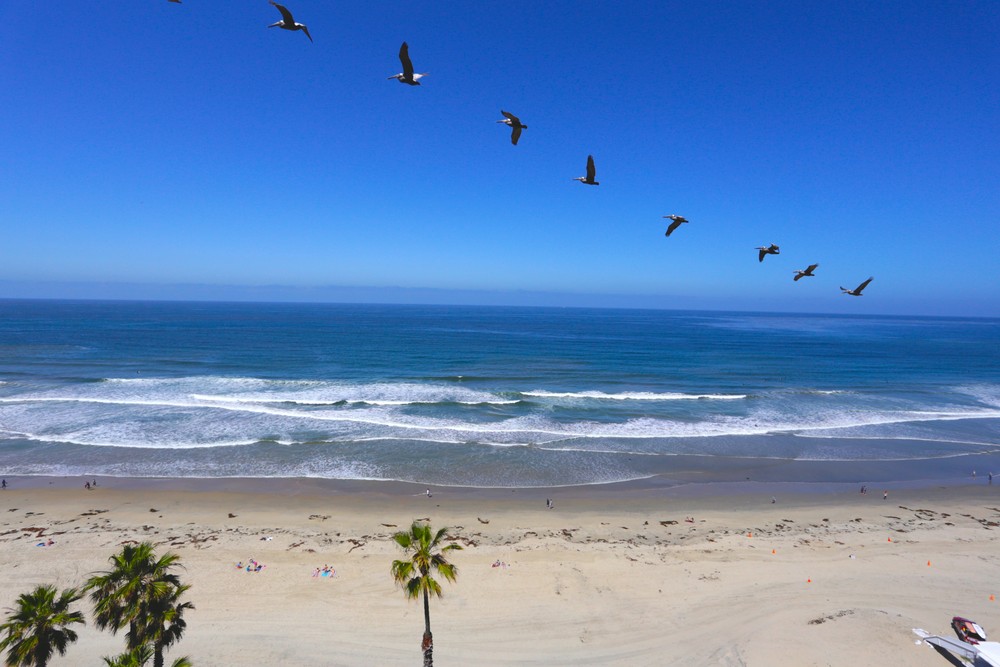 Virtual tour photo 27 of 26 for 4767 Ocean Blvd