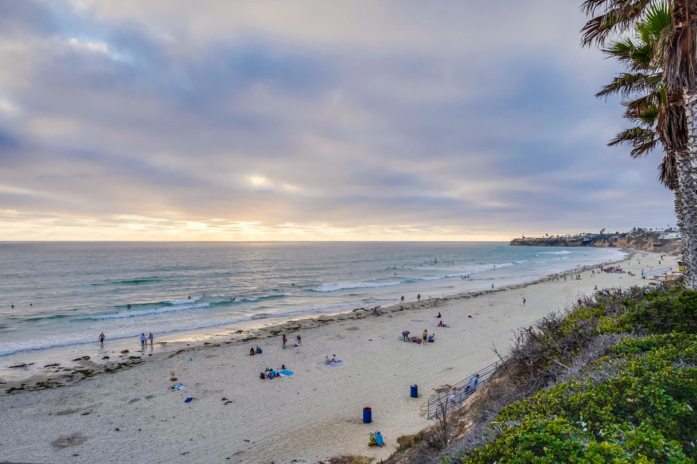 Virtual tour photo 6 of 75 for 4767 Ocean Blvd UNIT 303