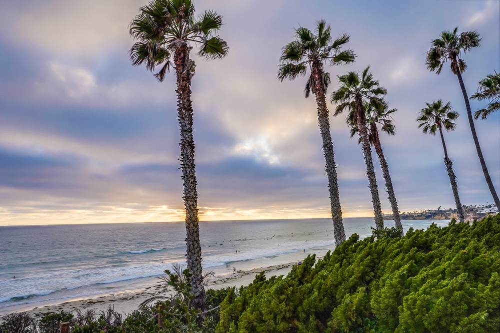 Virtual tour photo 7 of 75 for 4767 Ocean Blvd UNIT 303