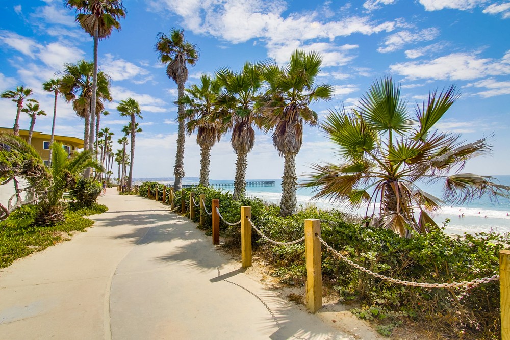 Virtual tour photo 56 of 61 for 4767 Ocean Blvd Unit #412