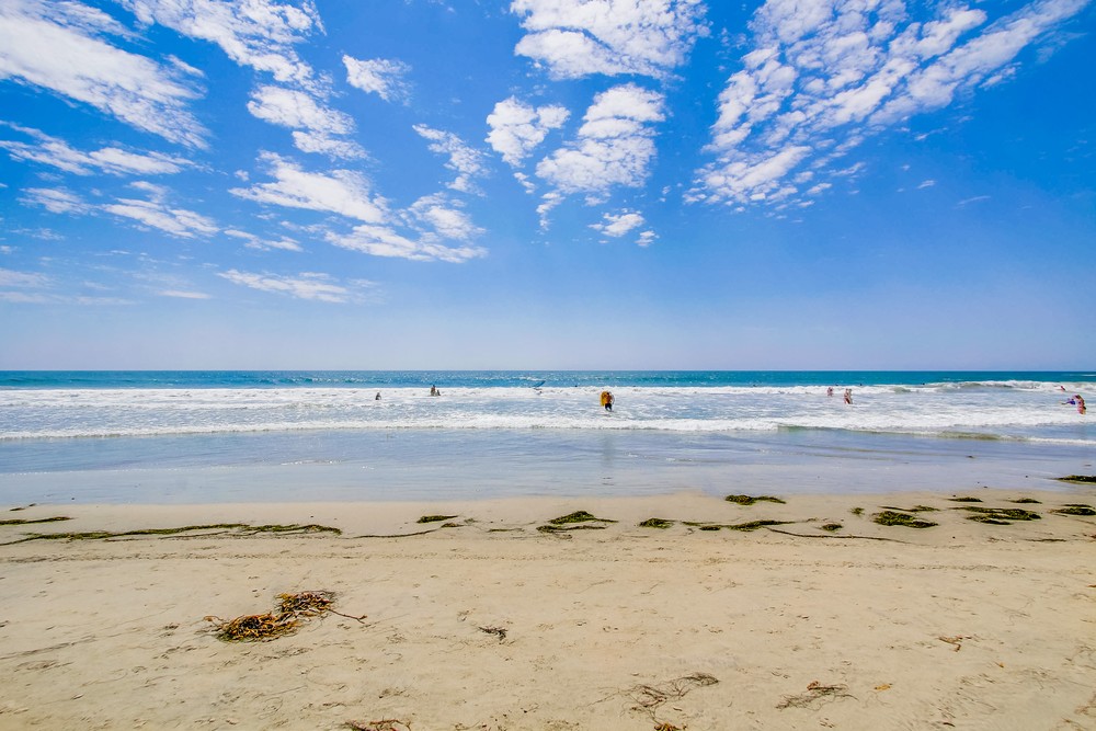 Virtual tour photo 57 of 61 for 4767 Ocean Blvd Unit #412