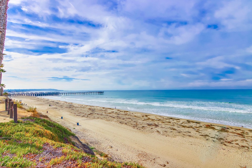 Virtual tour photo 53 of 56 for 4767 Ocean Blvd UNIT 512