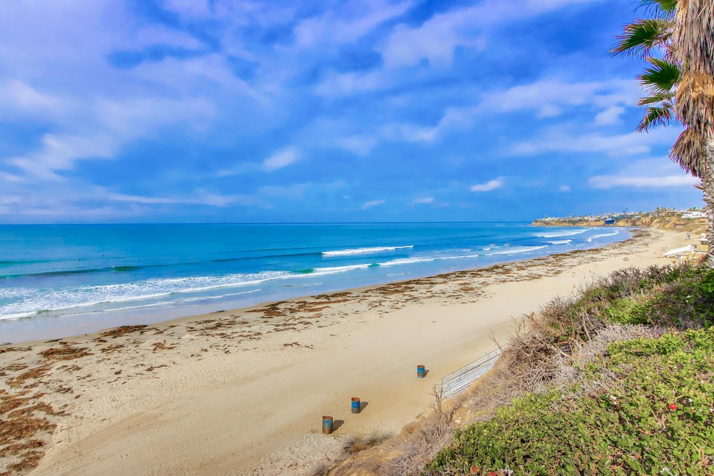 Virtual tour photo 54 of 56 for 4767 Ocean Blvd UNIT 512