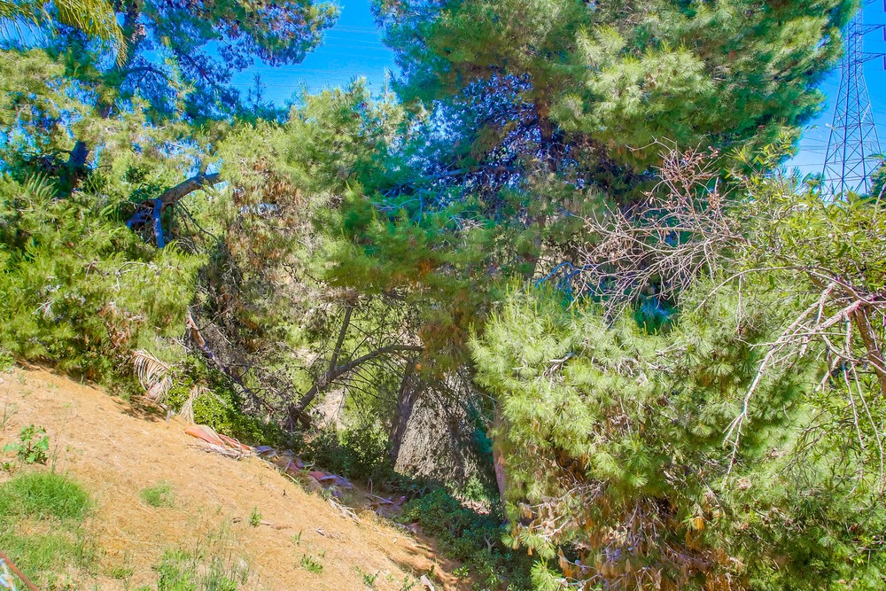 Virtual tour photo 54 of 53 for 4818 Royal Greens Pl