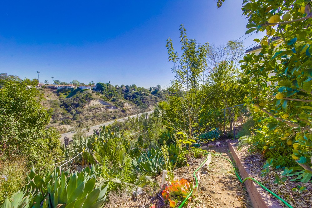 Virtual tour photo 38 of 43 for 4821 E Alder Dr