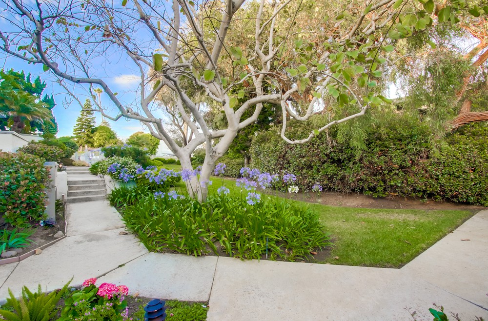 Virtual tour photo 39 of 47 for 4863 Orchard Ave