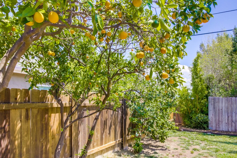 Virtual tour photo 40 of 52 for 4925 Rebel Rd