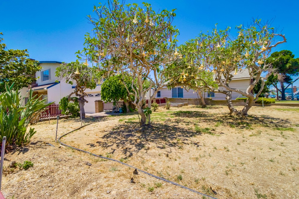 Virtual tour photo 35 of 37 for 4930 Mission Blvd