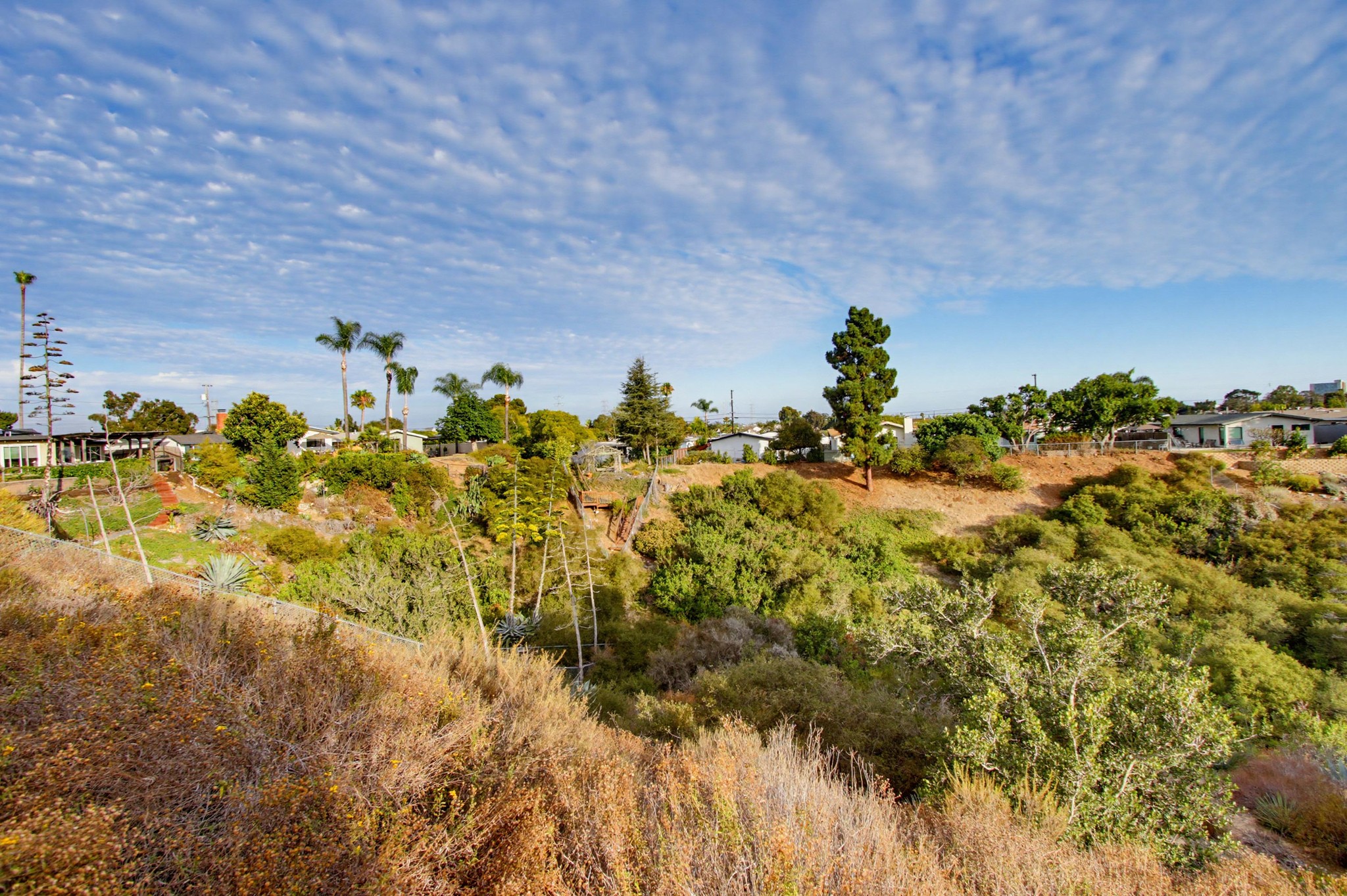 Virtual tour photo 46 of 53 for 4959 Mt Ashmun Dr