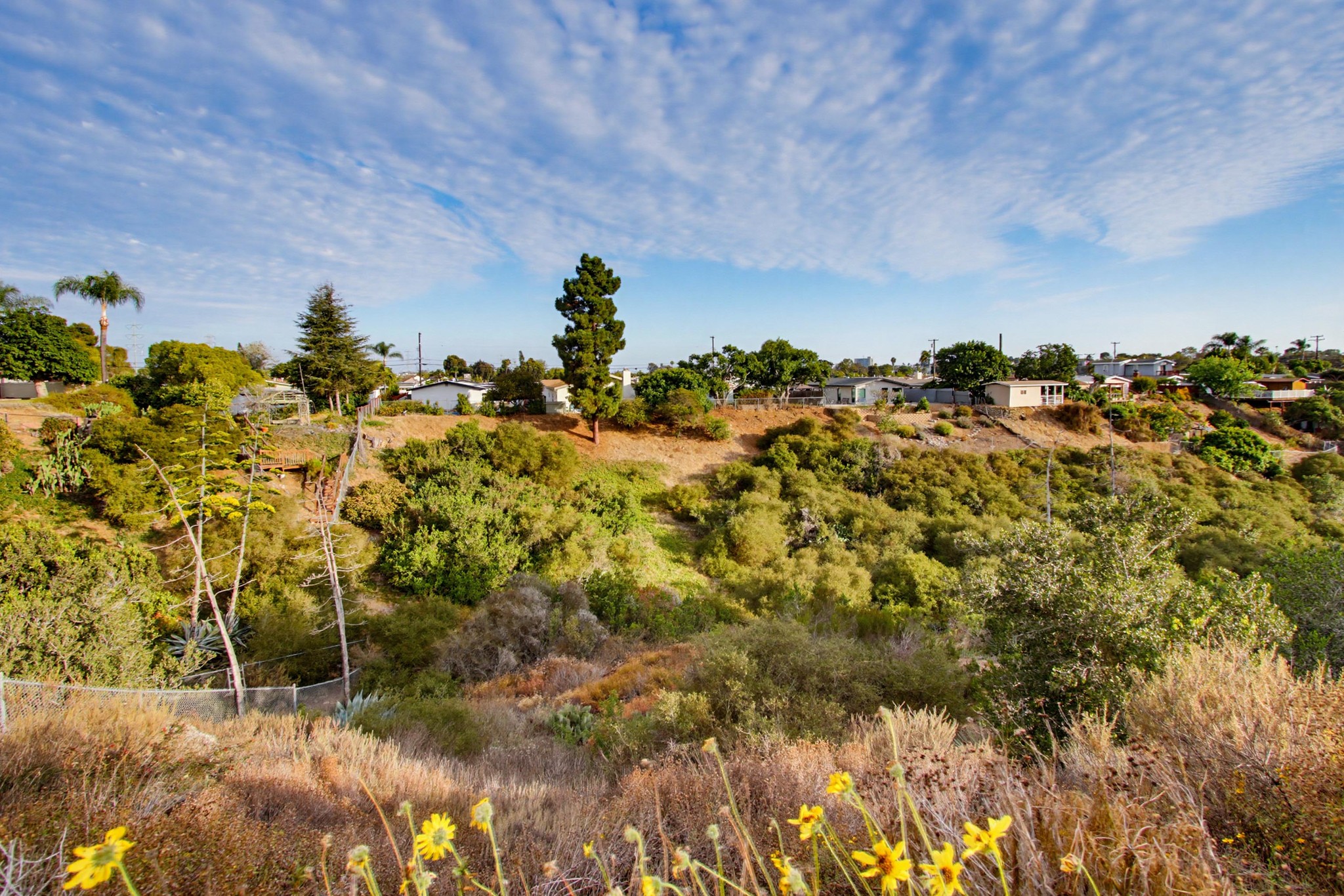 Virtual tour photo 52 of 53 for 4959 Mt Ashmun Dr