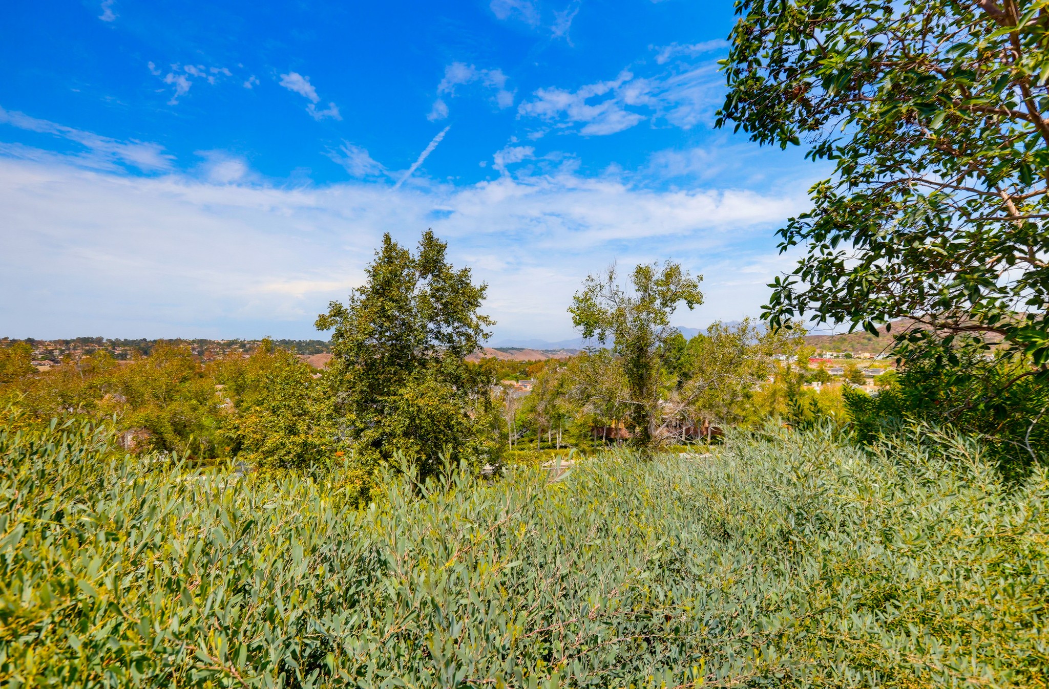 Virtual tour photo 81 of 95 for 5 Chimney Ln