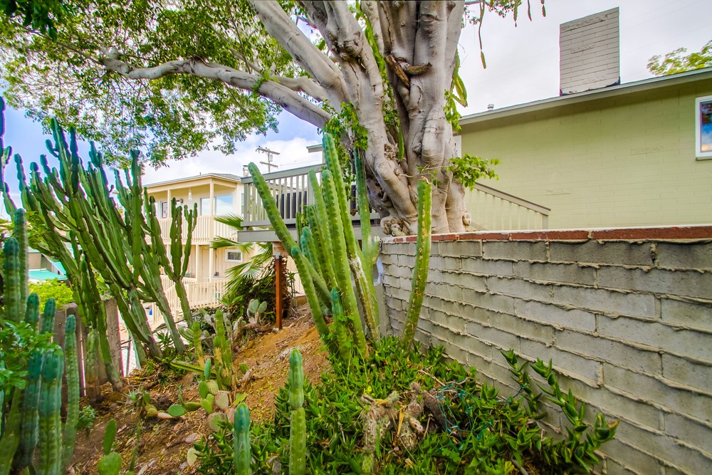 Virtual tour photo 53 of 54 for 5023 Hilda Rd