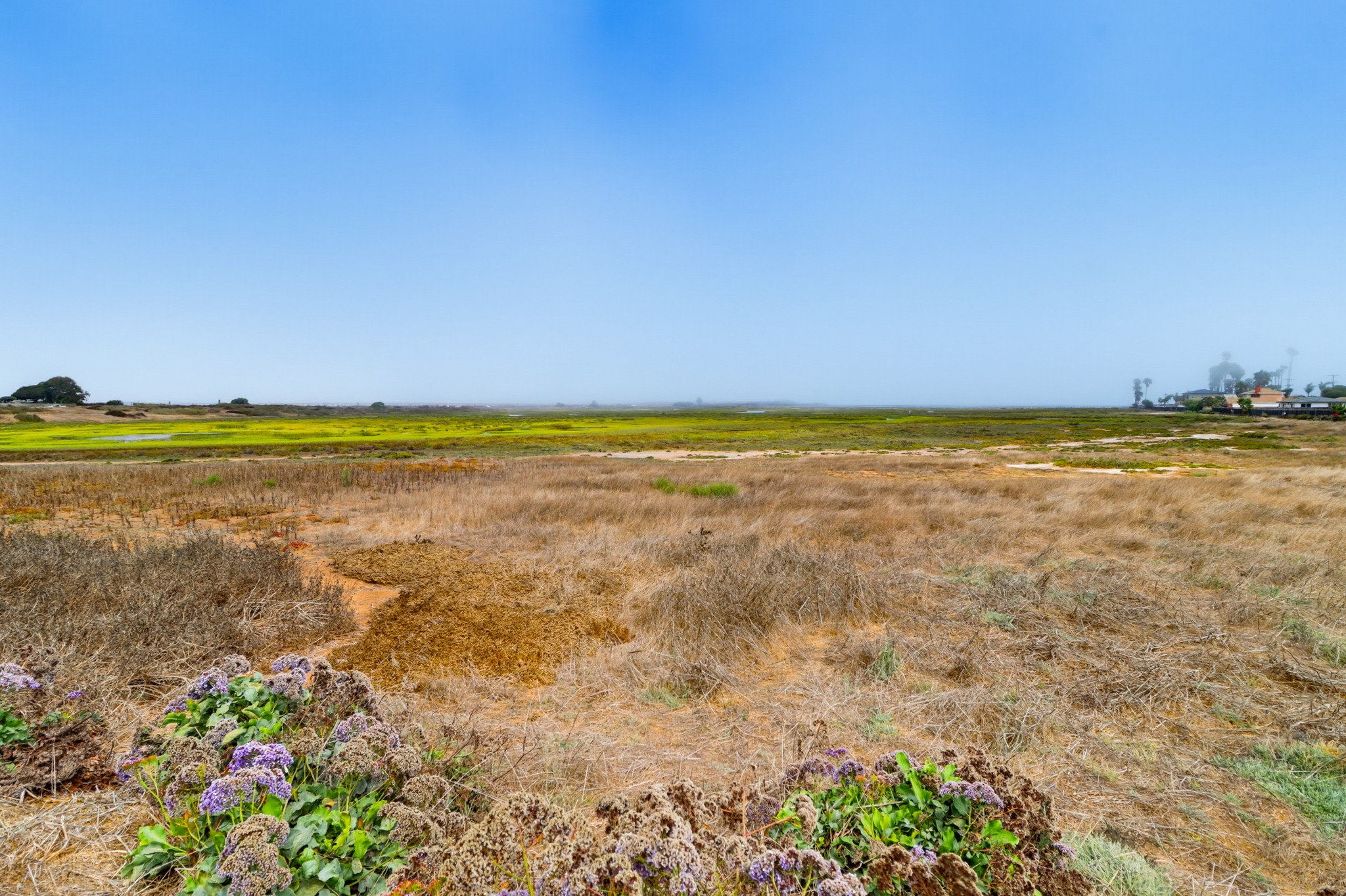 Virtual tour photo 44 of 49 for 505 Turnstone Ln