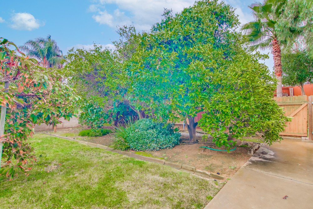 Virtual tour photo 56 of 56 for 5051 Orcutt Avenue